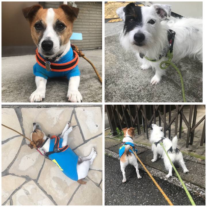 09376fed abb6 453a b3a5 b1a223119938 1530924663975