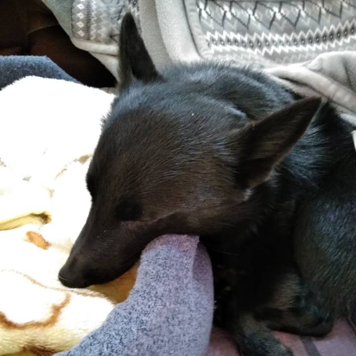 093775c1 3b40 4f9e b251 7e1d75dc3e98 1575845055636