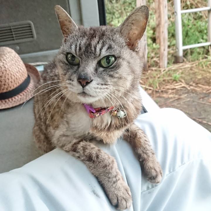 09378ee0 d8f6 4d96 8d4d 0b4261ffe128 1594202357767