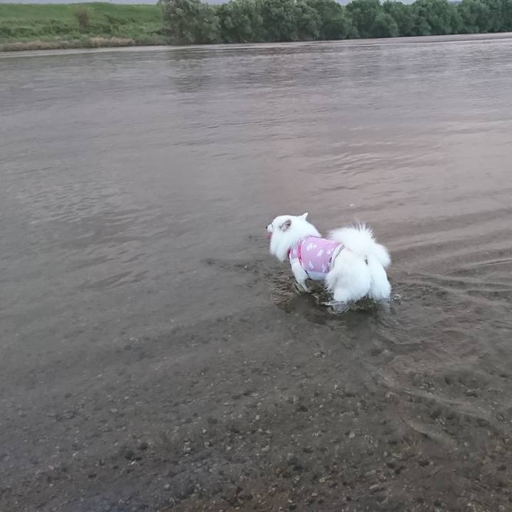 09379756 1bed 4664 b7f3 ada0d1d08e64 1567936629007