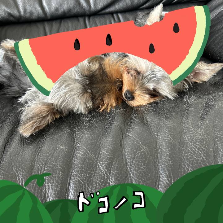 0937deac 2d09 4899 825a a24e118871ee 1720829553759