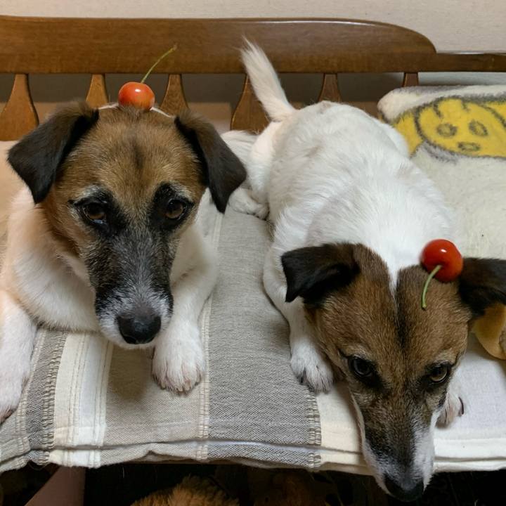 0937e41b ea42 4f14 89ce e12eee610bd4 1625226760245