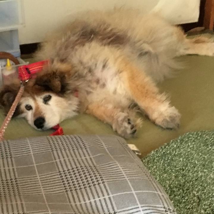 0937f2c0 6440 4427 bd73 fc19a3cbfda4 1598139710543