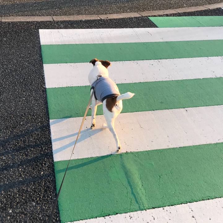 09381d7a 9e8a 4f73 9345 726b76552326 1518342876888