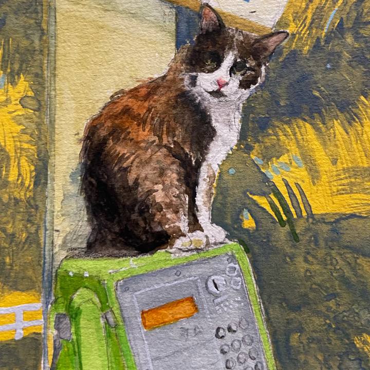 09382438 31b2 48d4 8fcc abd16862b32b 1697281784032