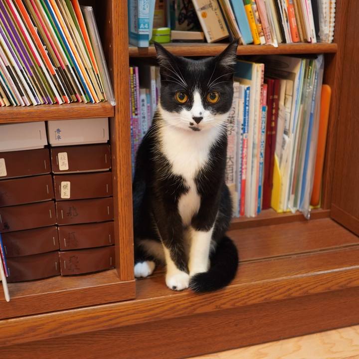 09384c21 02cd 4c91 acb8 556766e23b31 1596035491872