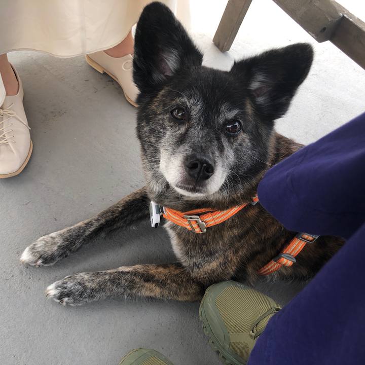 09386d0f 481c 4ffc 82dd b0aa559d2a75 1681455872448