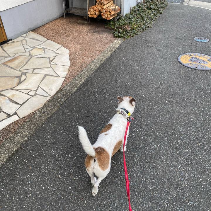 09386d16 6e7b 4642 ac67 1e8ed8bbbd70 1598218734389