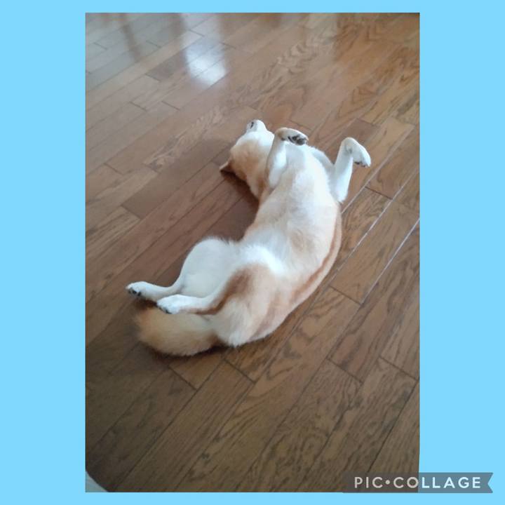 0939a159 bb23 45e3 a42d d6c80c522f1e 1725252258274