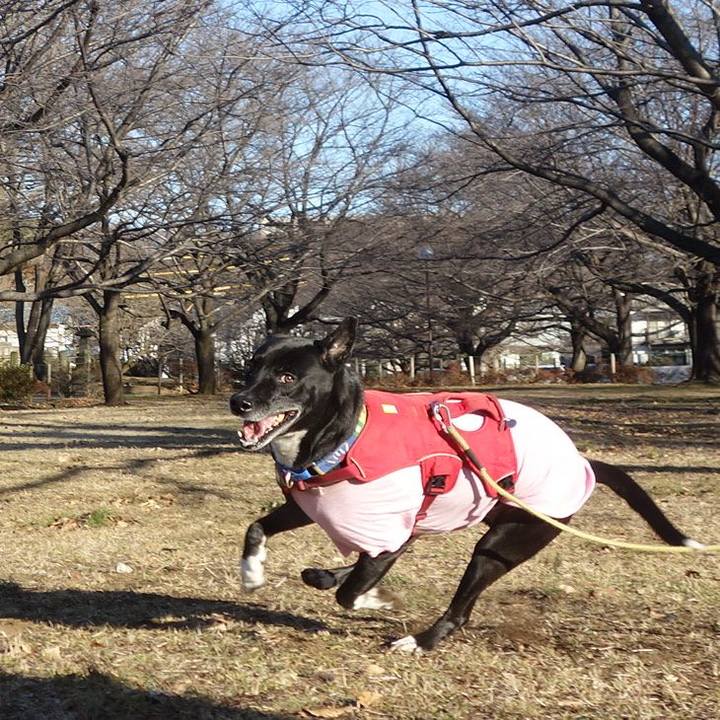 0939ccfe 0899 4bf9 b424 994696af3a39 1674697081083