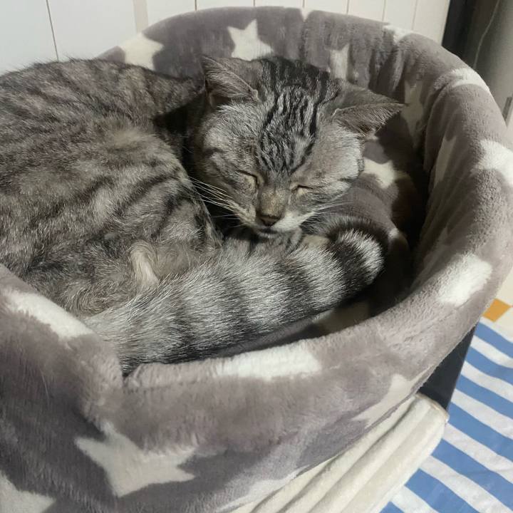 0939d9b5 2650 4e50 a46c 876c360b9265 1747309001301