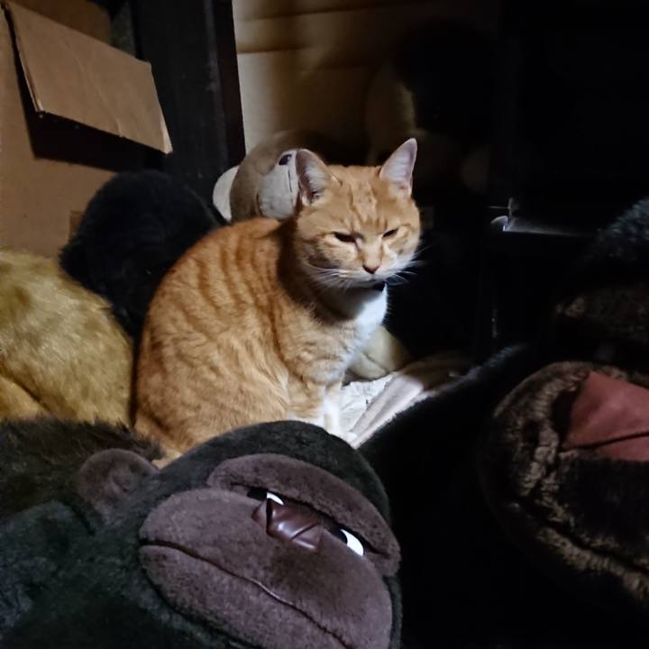 0939e415 be9f 4b0f b02e 646af4cb23e3 1608117480471