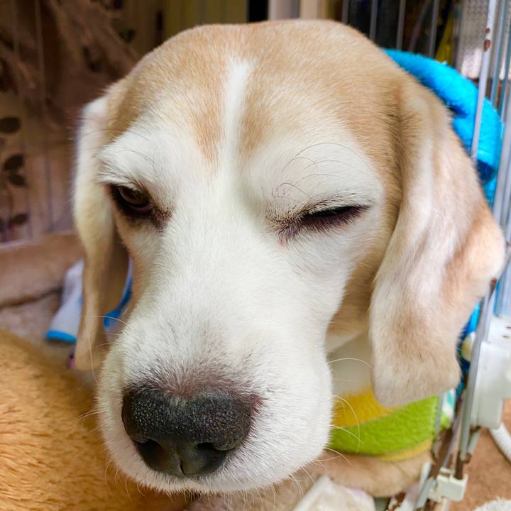 0939e87c 62a4 4801 9d9e c7f148827584 1583466651398