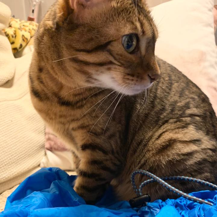 0939f85b 4479 42a5 a7ec 8bfd905261b5 1593048717155