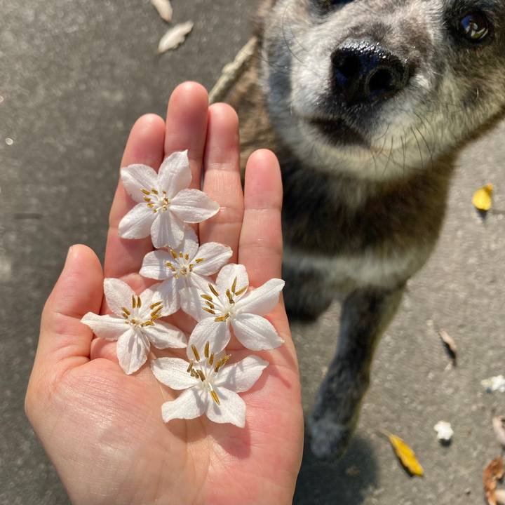 093a4509 1d96 4d8d a738 c9b68818eb19 1654127247646