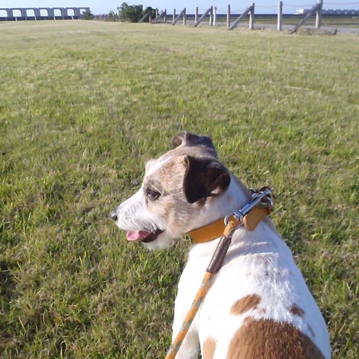 093a6188 13fe 4397 a051 90b5643c50f2 1527598290562