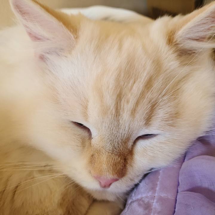 093a6a7a a80b 4459 b8d6 a02aac94473e 1668587045572