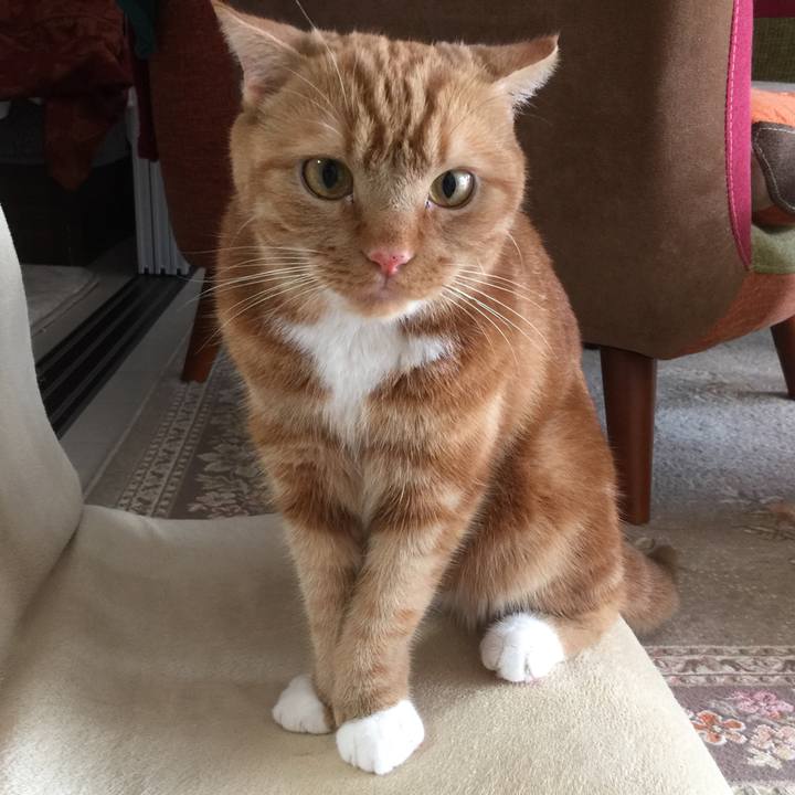 093adaee 5723 4996 8f4a 1a6135e677f7 1563157676581