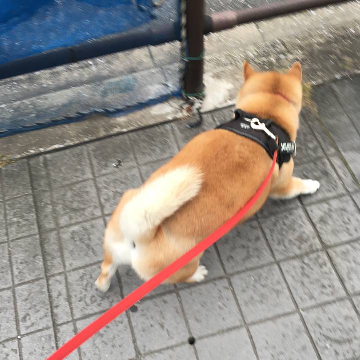 093ae373 199d 4045 8f27 635ad9deac60 1592470927417