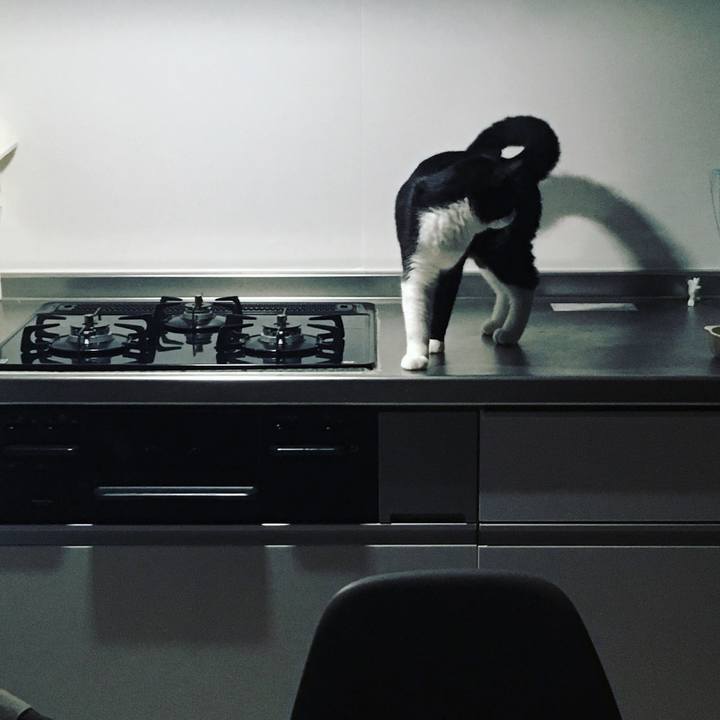 093afd48 2903 4068 9a79 a6c1953ebd19 1535939857474