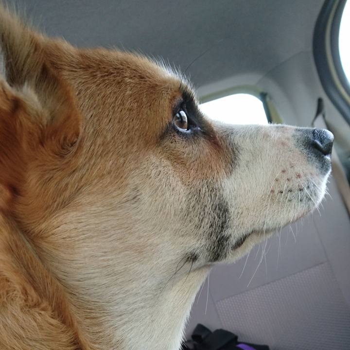 093b32b1 1c5d 4ccc 9675 21c5a75d8267 1576479624661