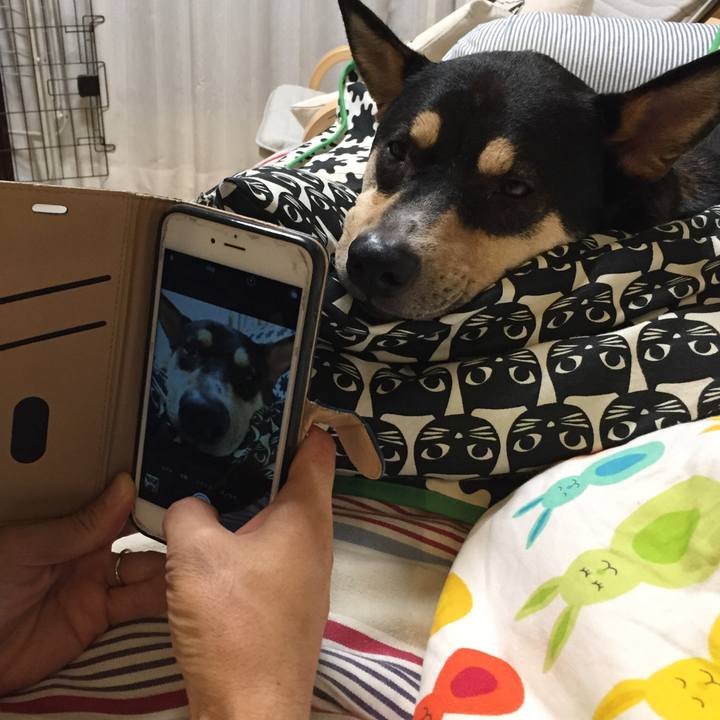 093b389a 111a 4a8b 976b 9b7171072a14 1539436416859