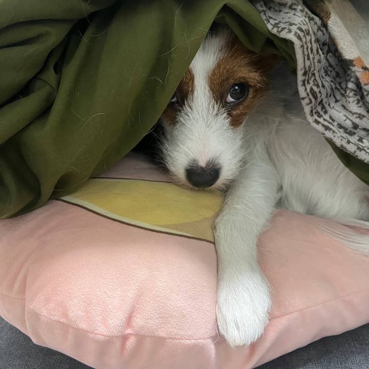 093b3aa8 4e59 474d 9164 55946c455b02 1764868599211