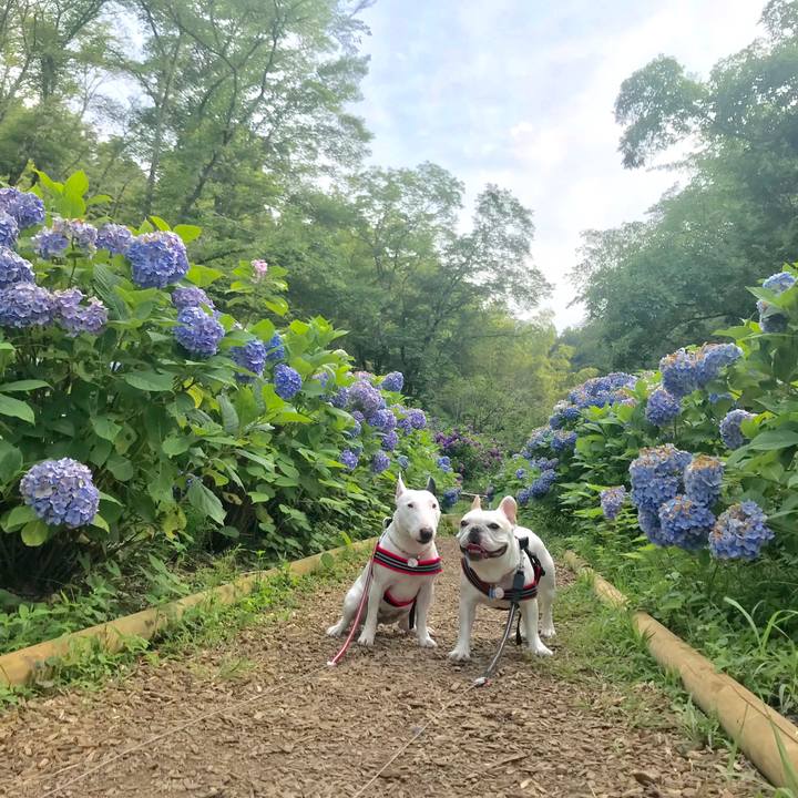 093b3ecc 62ec 4a5d a2bc cbc299461b7a 1530063404960