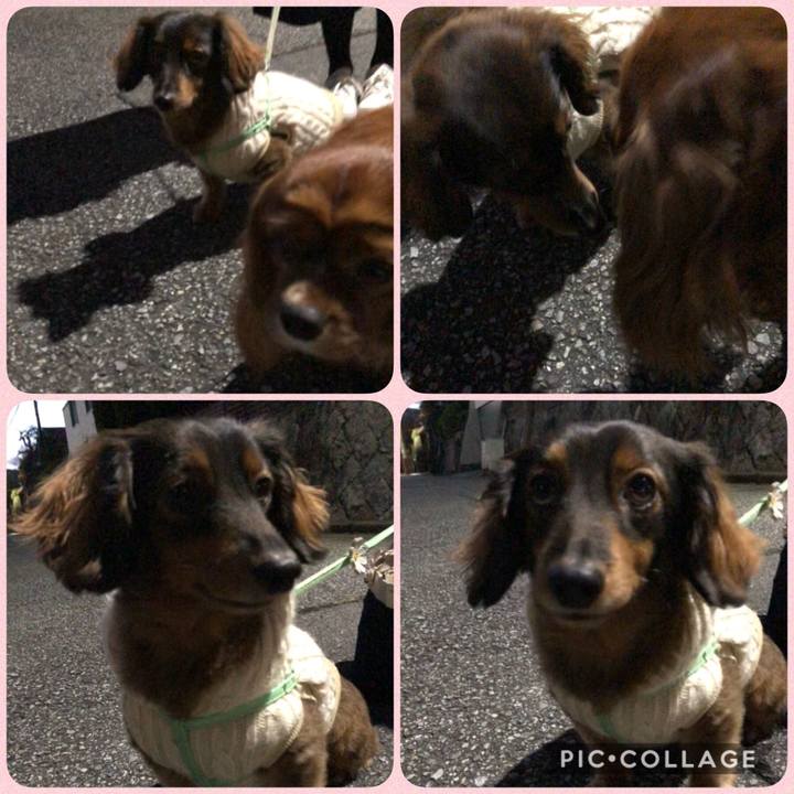 093b4b92 e3c9 4dcd 8a00 60297d5d2059 1606565063640