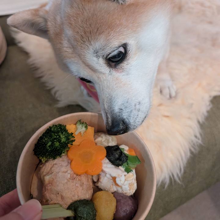 093b5271 4ee7 4201 bf39 725944e28fae 1773551695034