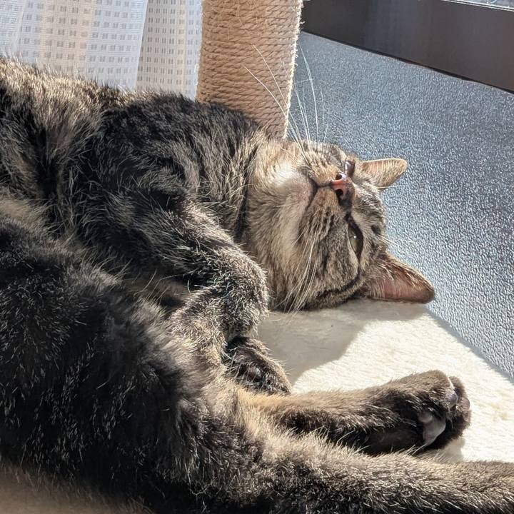 093b5fd8 13b5 4508 972c eefbb8f33e54 1747641532723