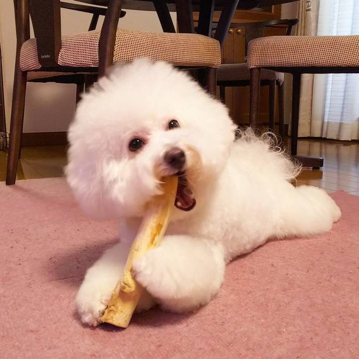 093b6097 9a3c 44f4 af82 662efd1d2040 1536230467112