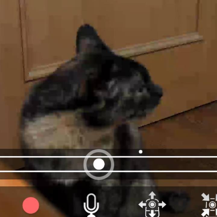 093b70ca 7a04 42fa ae42 8c1bc6592345 1549277982506