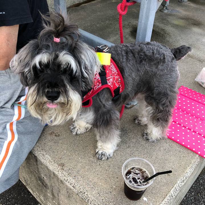 093bea24 4a88 43ac 9f15 3c2348dc5cae 1532123601167