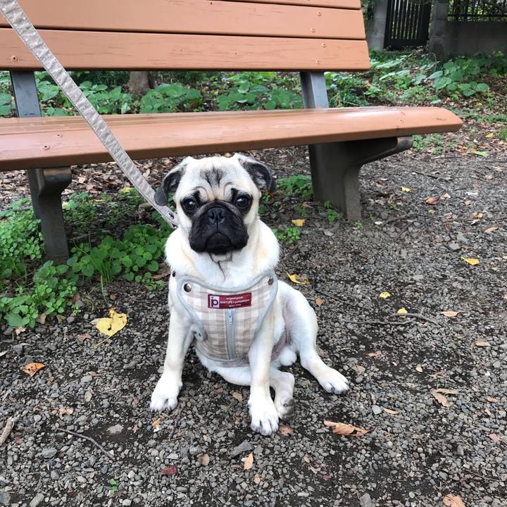 093bf46e b48b 452c 8a05 9ed847166956 1542004527953