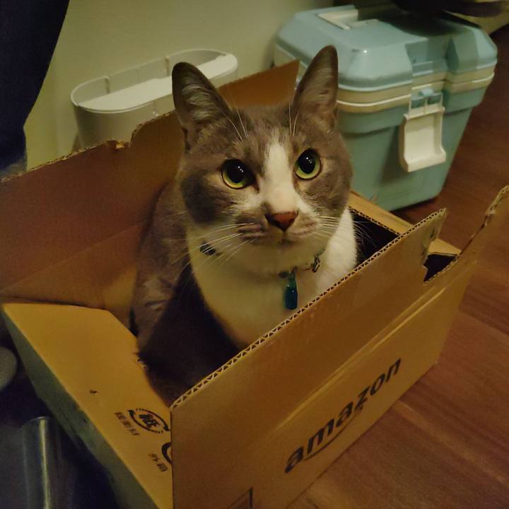 093c222e d70a 405a 99ab 6afc8db5abeb 1669635685531