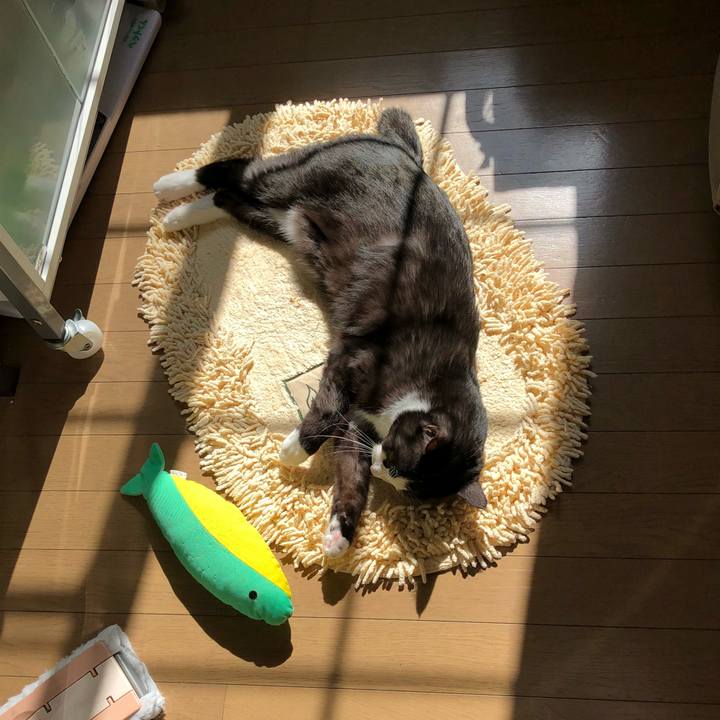 093c3ed8 b591 4991 9b7b 3461ef9e4906 1519963608916