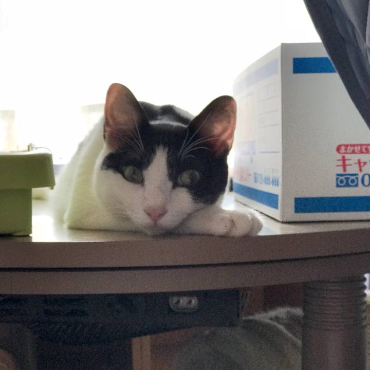 093c98c2 5ca5 4fa8 a42a 59a1e09ff7b7 1535899899108