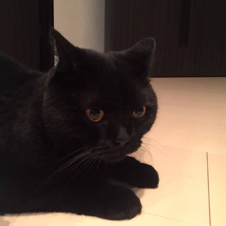 093c9a58 dadd 49c3 a234 41cd14c64284 1566828079512