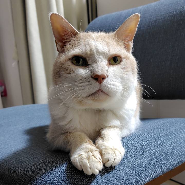 093cb118 c4ec 4684 b360 ca30852635ce 1745235471402