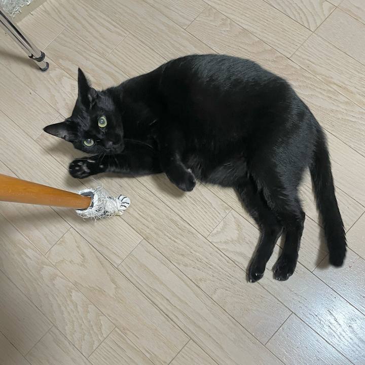 093d07bb b125 429e a893 141328b42eca 1732183299451