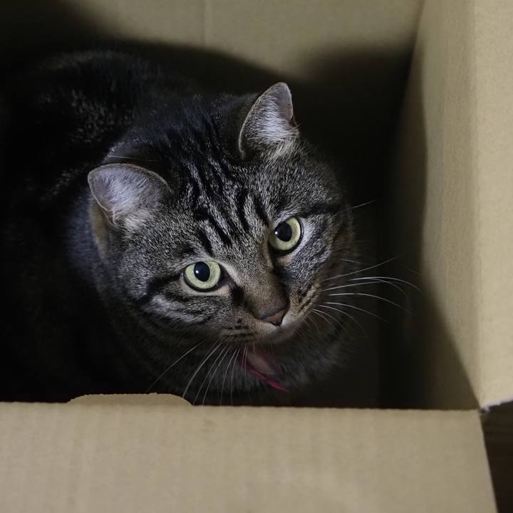 093d2251 3721 422d 8d13 7ab9b0f0e76c 1639057314635