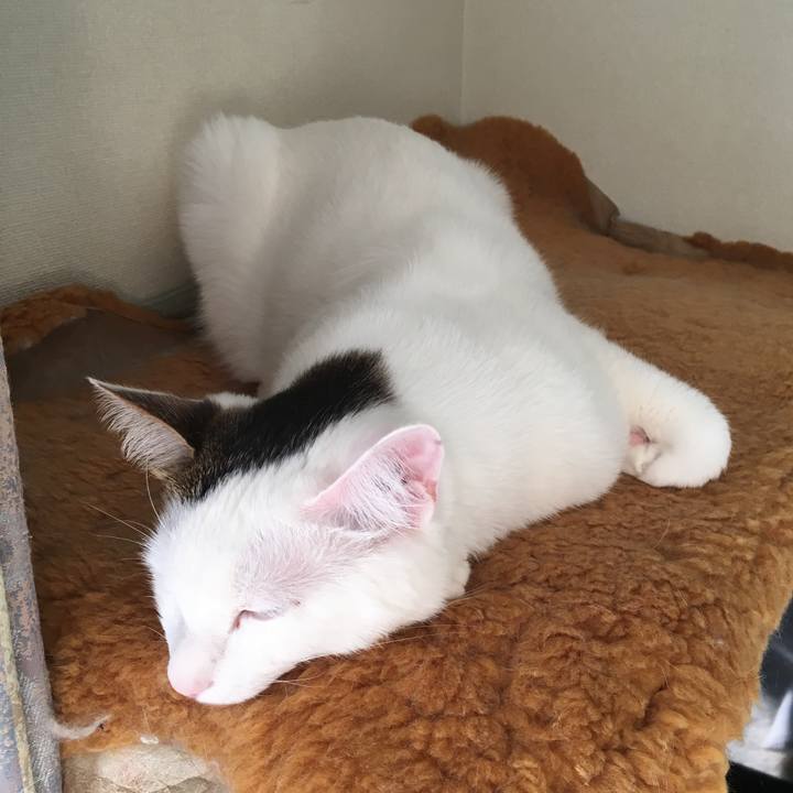 093d25d0 9a45 4f5a b1d4 ff66a20726d9 1548977269026