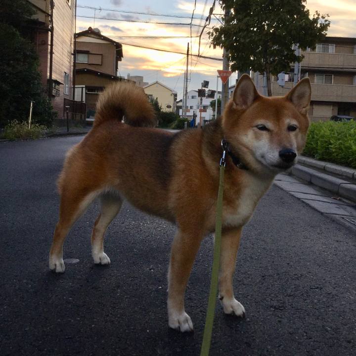 093d389a 4428 4a02 a68b dcc3dc3f6d40 1566293141288