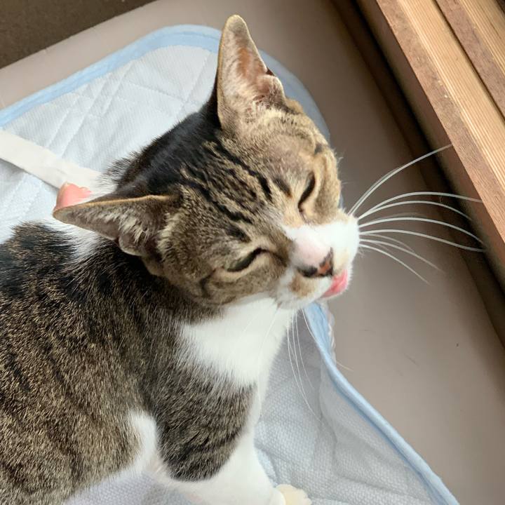 093d3b61 08d9 4728 a409 43f5083865b3 1591233946472