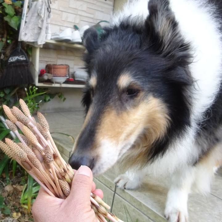 093d43c4 3699 4352 9634 95448668584c 1586439731801