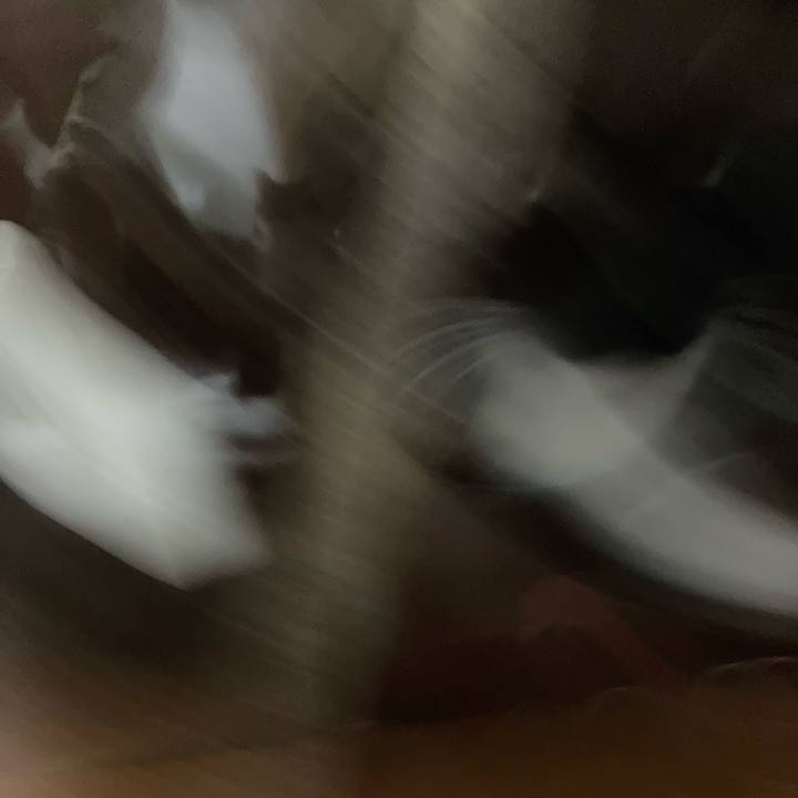 093d5142 5197 4ec3 919e 86e16808fe8f 1708034414671