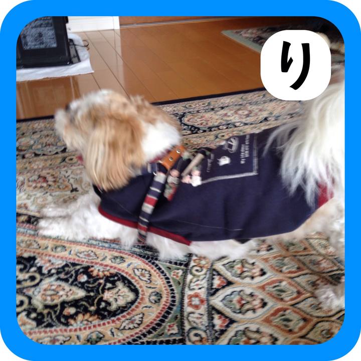 093d61c9 4214 4026 8775 bb6034b91c45 1514982922150