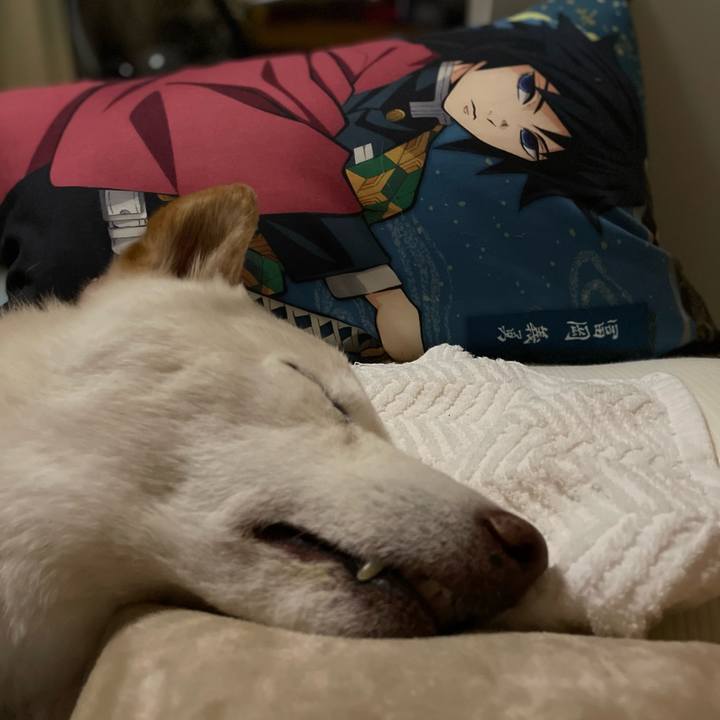 093d6724 c934 43c0 a632 21f1548e3bc0 1646924051942