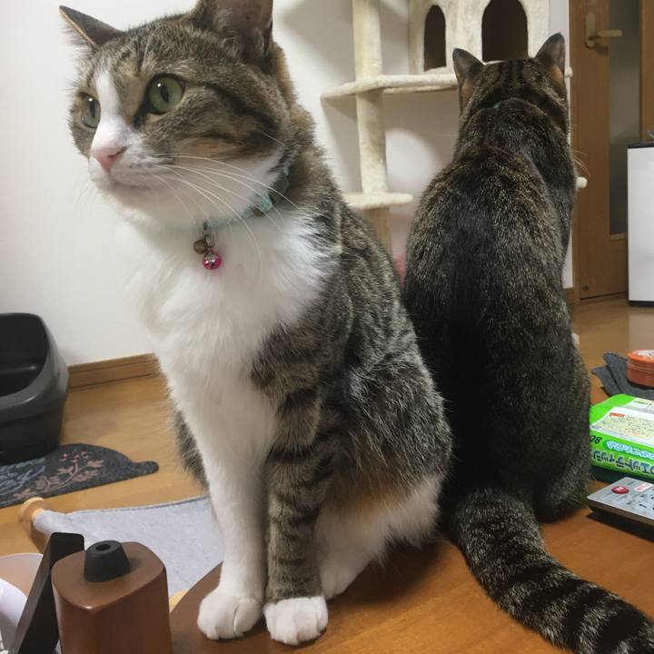 093d7209 1a60 451e 8aa6 07aa3ca394b6 1699964087047